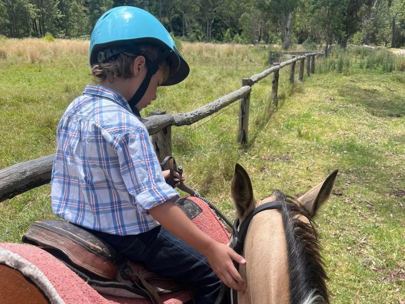 a little boy petting his horse
