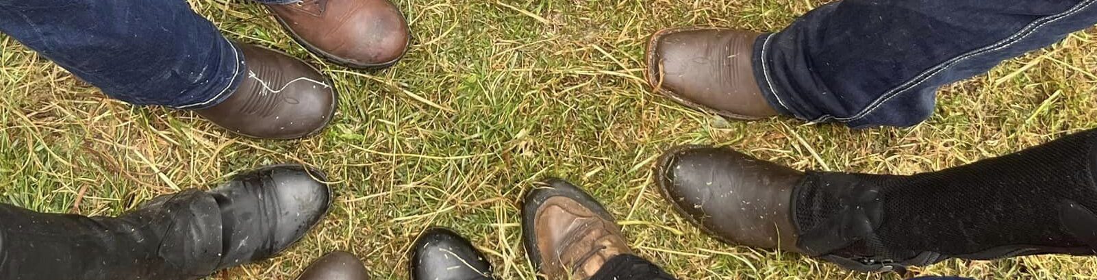 an image of cowboy boots