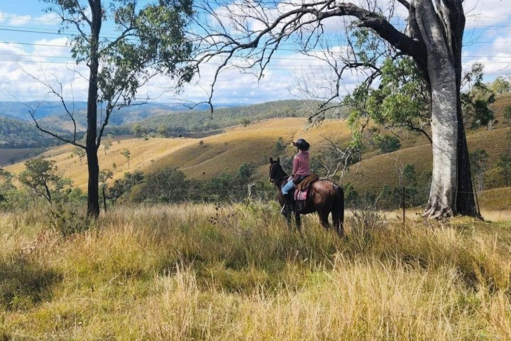 a woman on a horse looking out onto the field