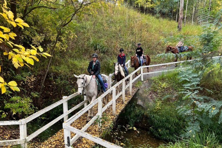 a group of people riding horses
