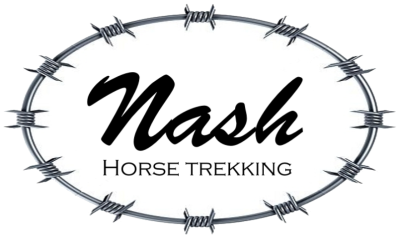 Nash Horse Trekking