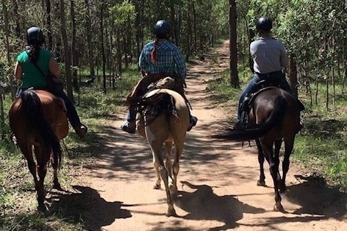 a group of people riding horses on a dirt road