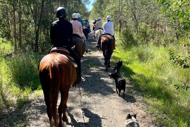 a group of people riding horses on a dirt road