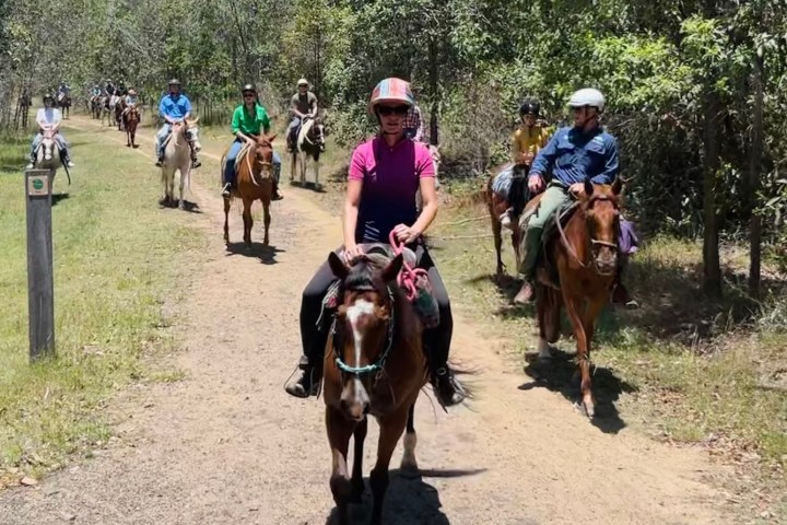a group of people riding horses on a dirt road