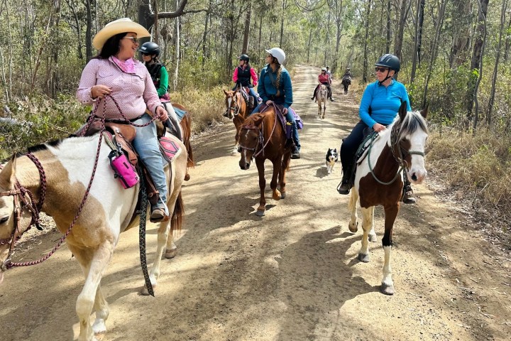 a group of people riding on the back of a horse